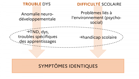 schéma représentant le trouble dys, via l'anomalie neuro-développementale et la difficulté scolaire, via les problèmes liés à l'environnement comme menant à des symptômes identiques.