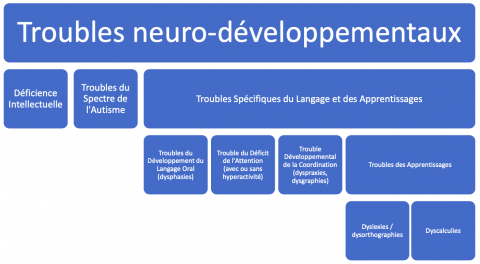 classification de le DSM 5 :
Les troubles neuro développementaux comportent la déficience intellectuelle, les troubles du spectre de l'autisme et les troubles spécifiques du langage et des apprentissages (TSLA) 
Les TSLA comportent les troubles du développement du langage oral (dysphasie), le trouble du déficit de l'attention avec ou sans hyperactivité, le trouble développemental de la coordination (dysgraphie, dyspraxie) et les troubles des apprentissages. 
Les troubles des apprentissages comportent les dyslexies / dysorthographies et les dyscalculies.